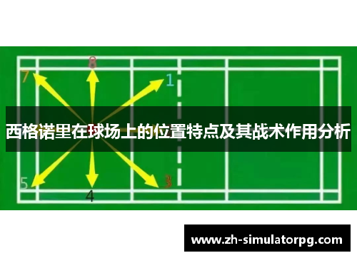 西格诺里在球场上的位置特点及其战术作用分析